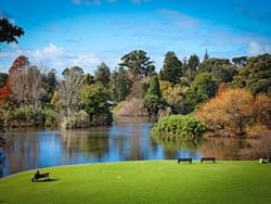 Landscape view of Royal Botanic Garden near Jasper Hotel