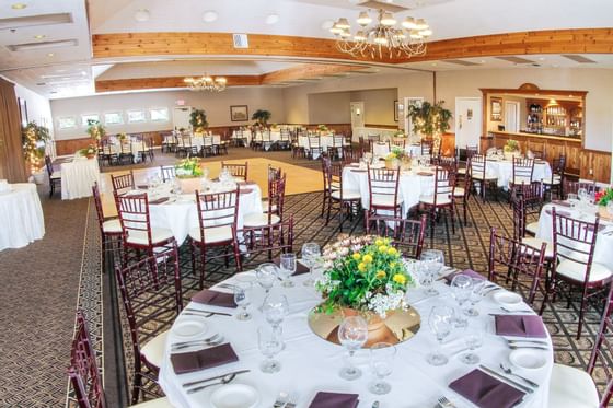 Peacock room decorated for an event 