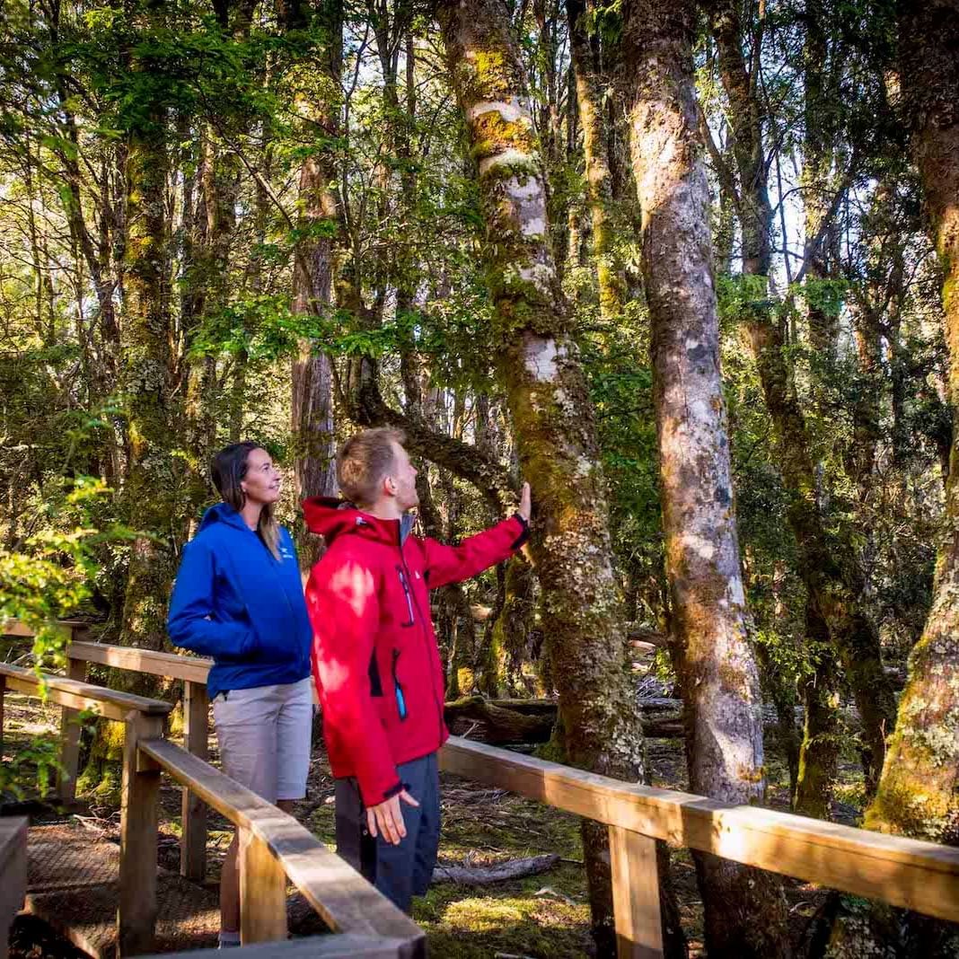Couple walking on the wooden trails near Cradle Mountain Hotel 