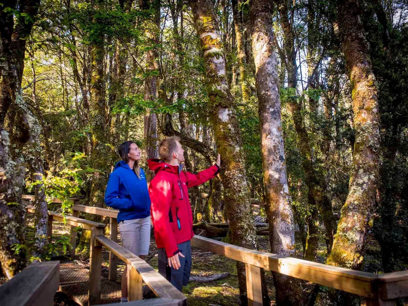 Couple walking on the wooden trails near Cradle Mountain Hotel 
