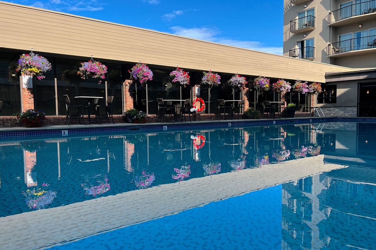Swimming pool with flower assortments