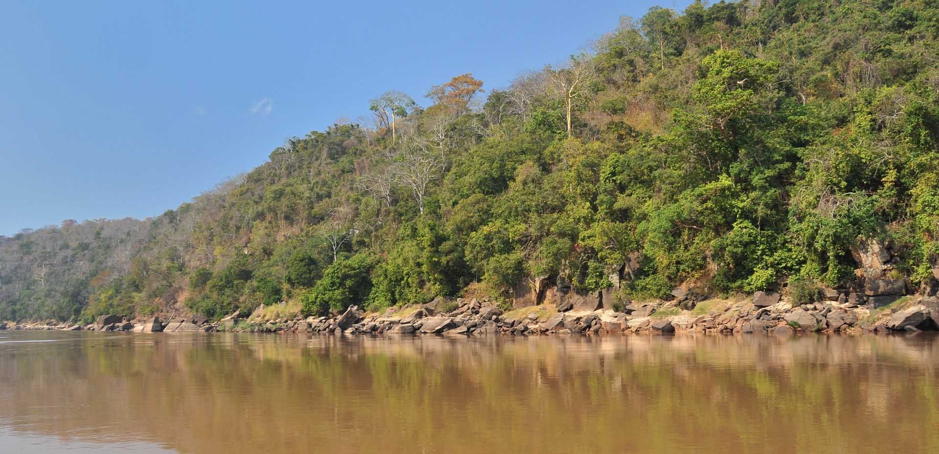 A Landscape view of trees near Serena Mivumo River Lodge