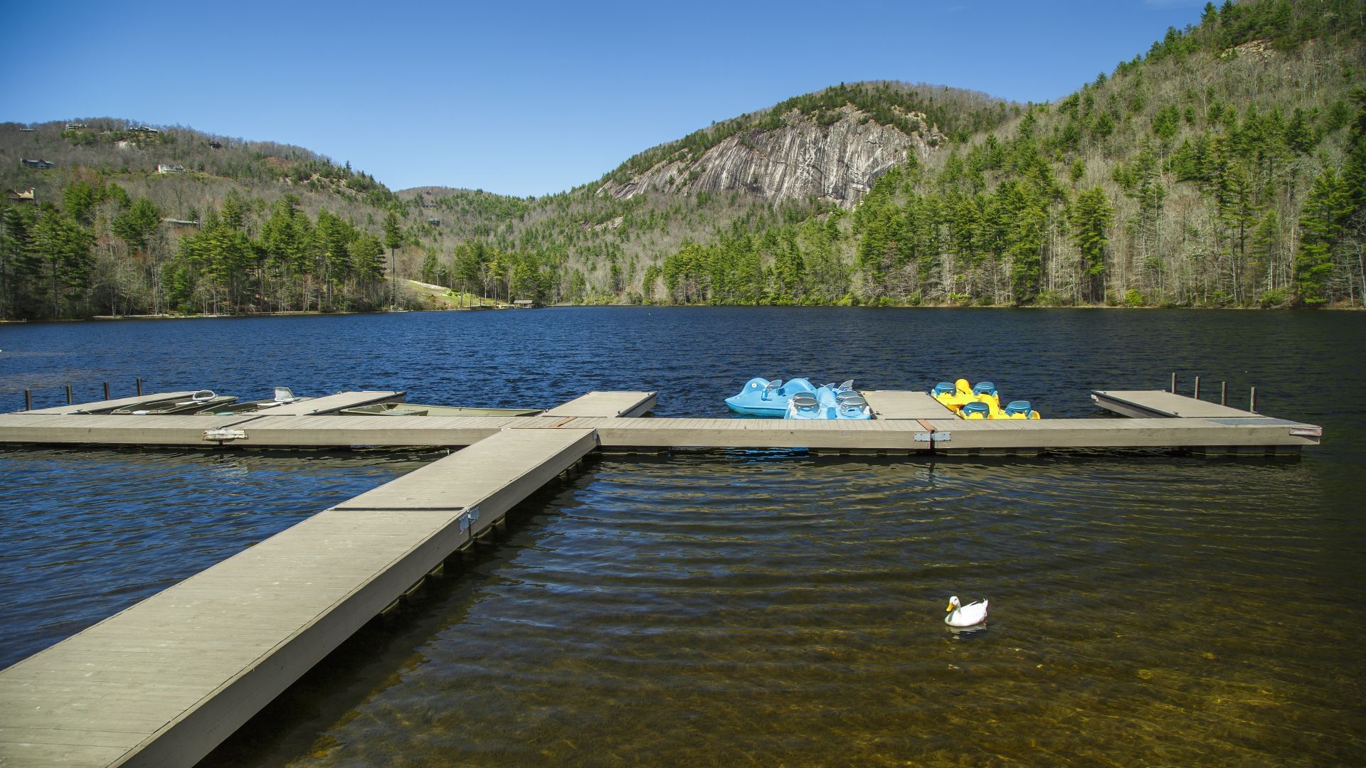 Sapphire Hotel Deals Fairway Forest Resort Offers