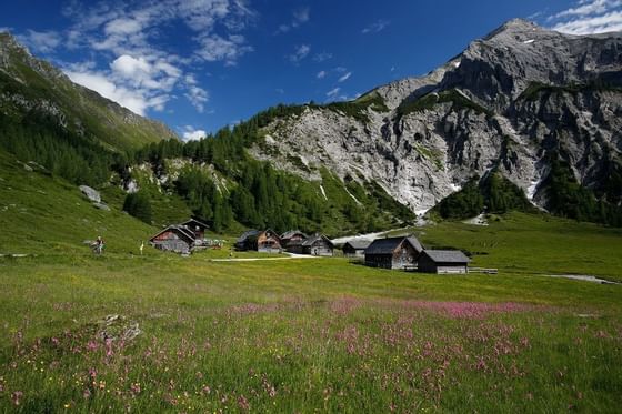 Wandern rund um das Schloss Pichlarn