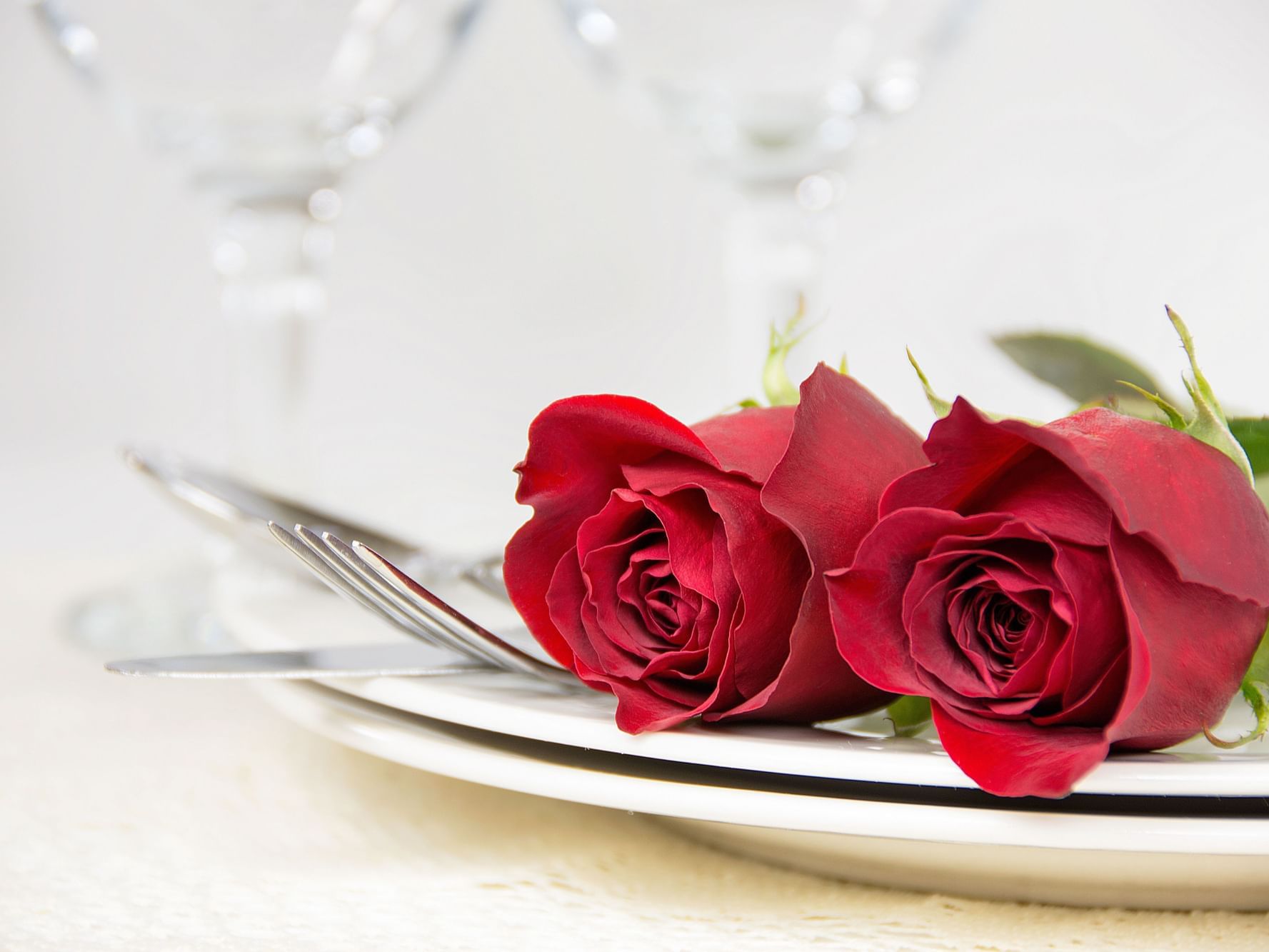 roses on a dinner plate