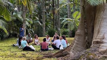 Parque Terra Nostra promove uma experiência de pausa, bem-estar e reconexão com a natureza