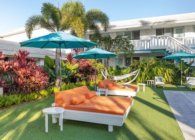 Image of the pool beds with open blue umbrellas with the outdoor