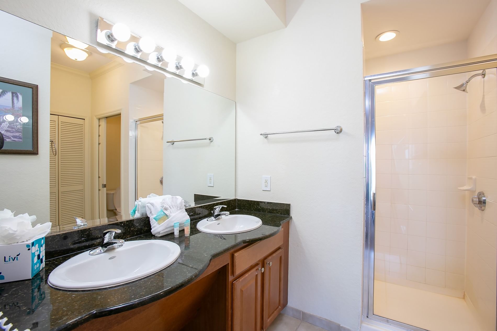 Master Bathroom and Walk-In Shower