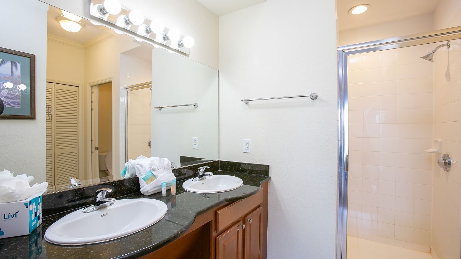 Master Bathroom and Walk-In Shower