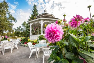 Outdoor view of Wedgewood Resort