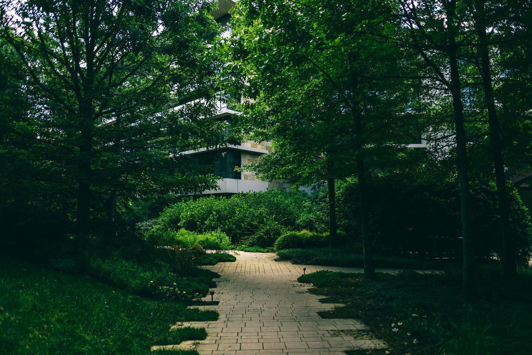 Sidewalk path surrounded by lush greenery at The Umstead Hotel and Spa