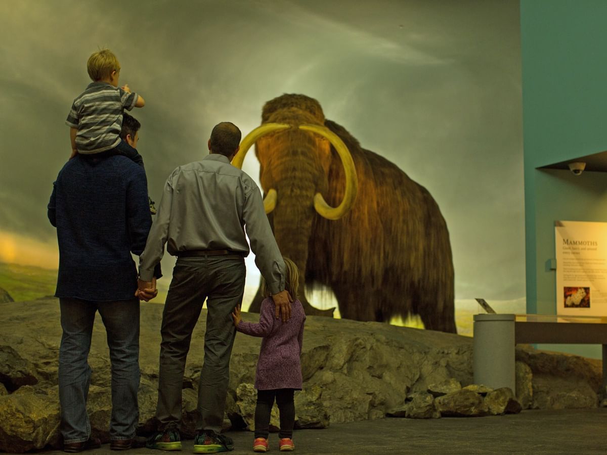 Young-family-admires-wooly-mammoth-in-Royal-BC-Museum-Pendray-Inn-and-Tea-House-Hotel-Package