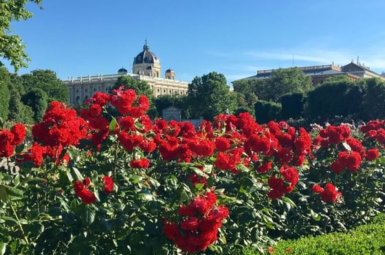 Attractions near Ambassador Hotel in Vienna