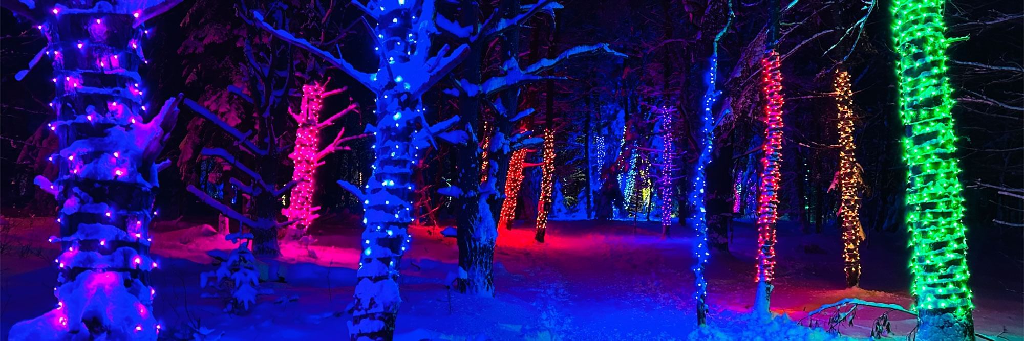 Forest snowshoe trail light up with lights wrapped around a tree. Photo Credit: Jami Santor