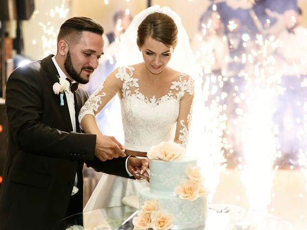 Wedding couple slicing the cake at Warwick Melrose Dallas