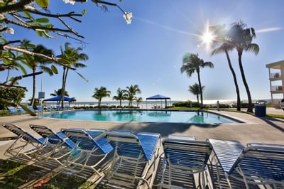 pool chairs look at palms trees
