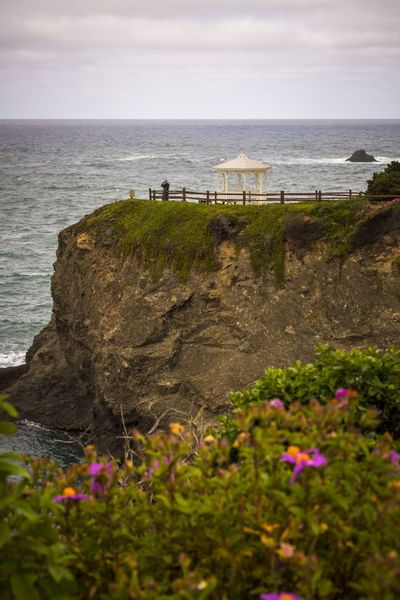 Closeup on a coast made for weddings at Heritage House Resort
