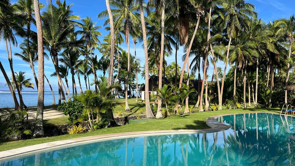 Clear pool surrounded by palm trees and lush greenery at Tambua Sands Beach Resort in Sigatoka.