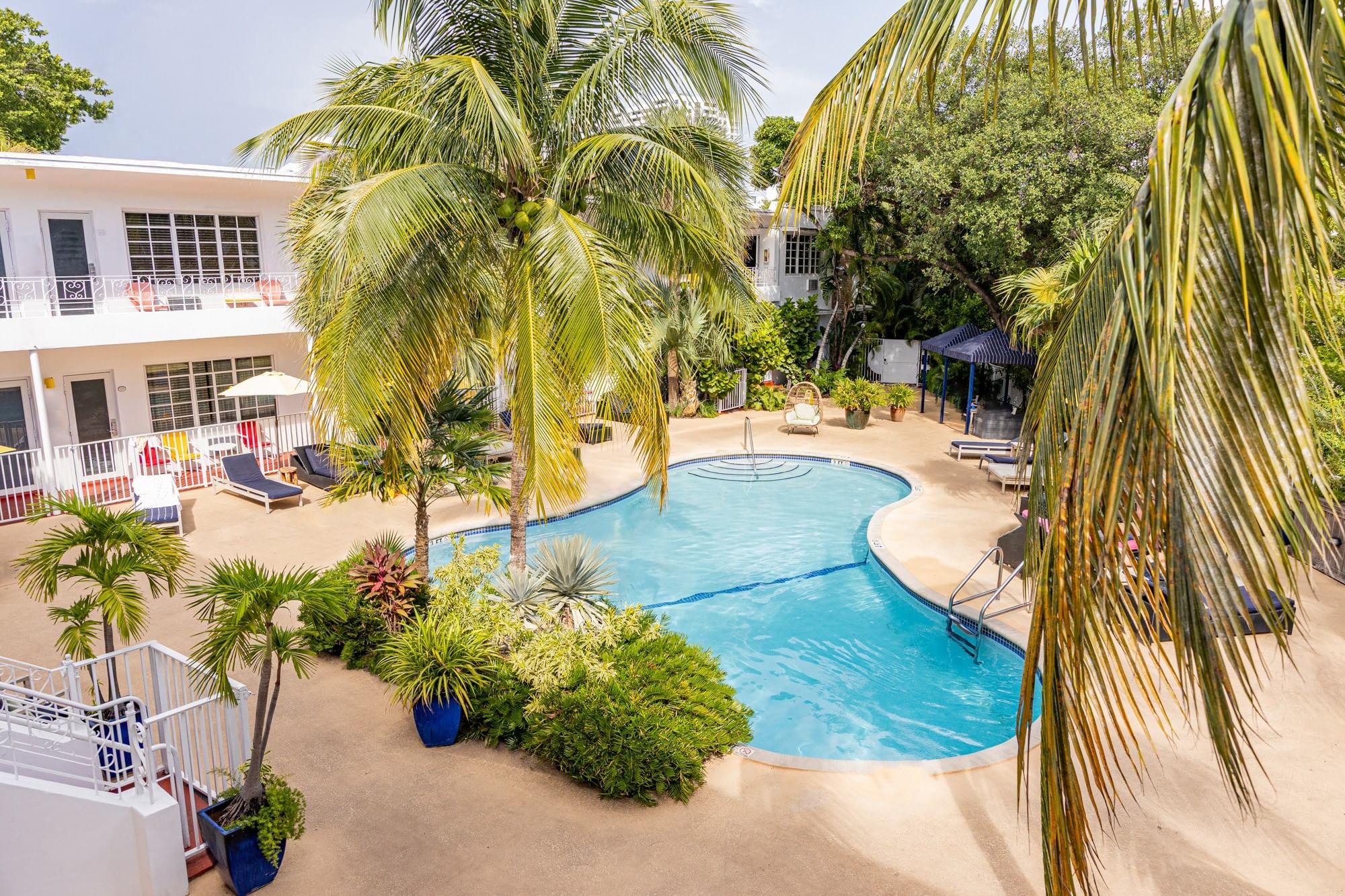 Aerial view of a pool surrounded by palm trees and lounge chairs.