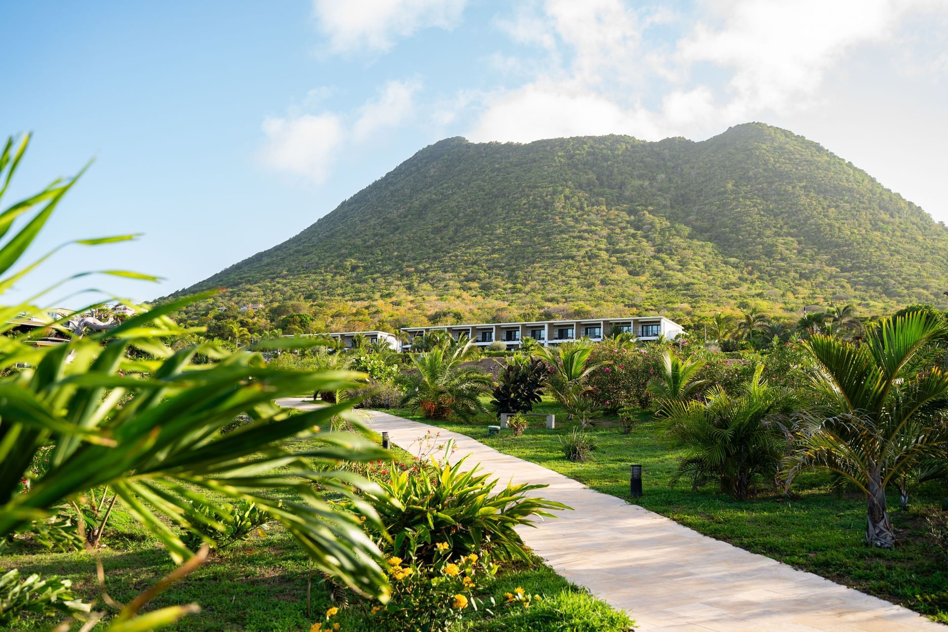 Paved pathway through palm gardens leading toward guest rooms with a view of the Quill volcano peak at Golden Rock Resort