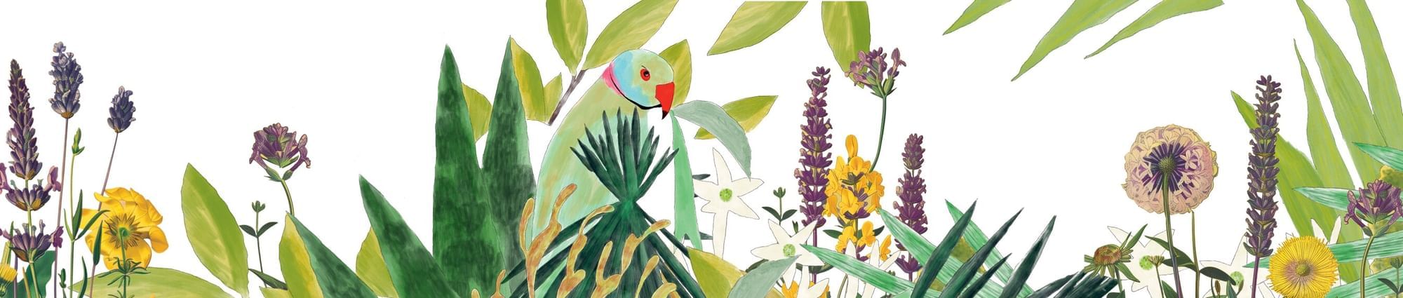 Colorful illustration of a green parrot perched amid purple, yellow, and green tropical blooms near Marbella Club