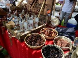 Authentic food at a Festival near Fiesta Americana Travelty