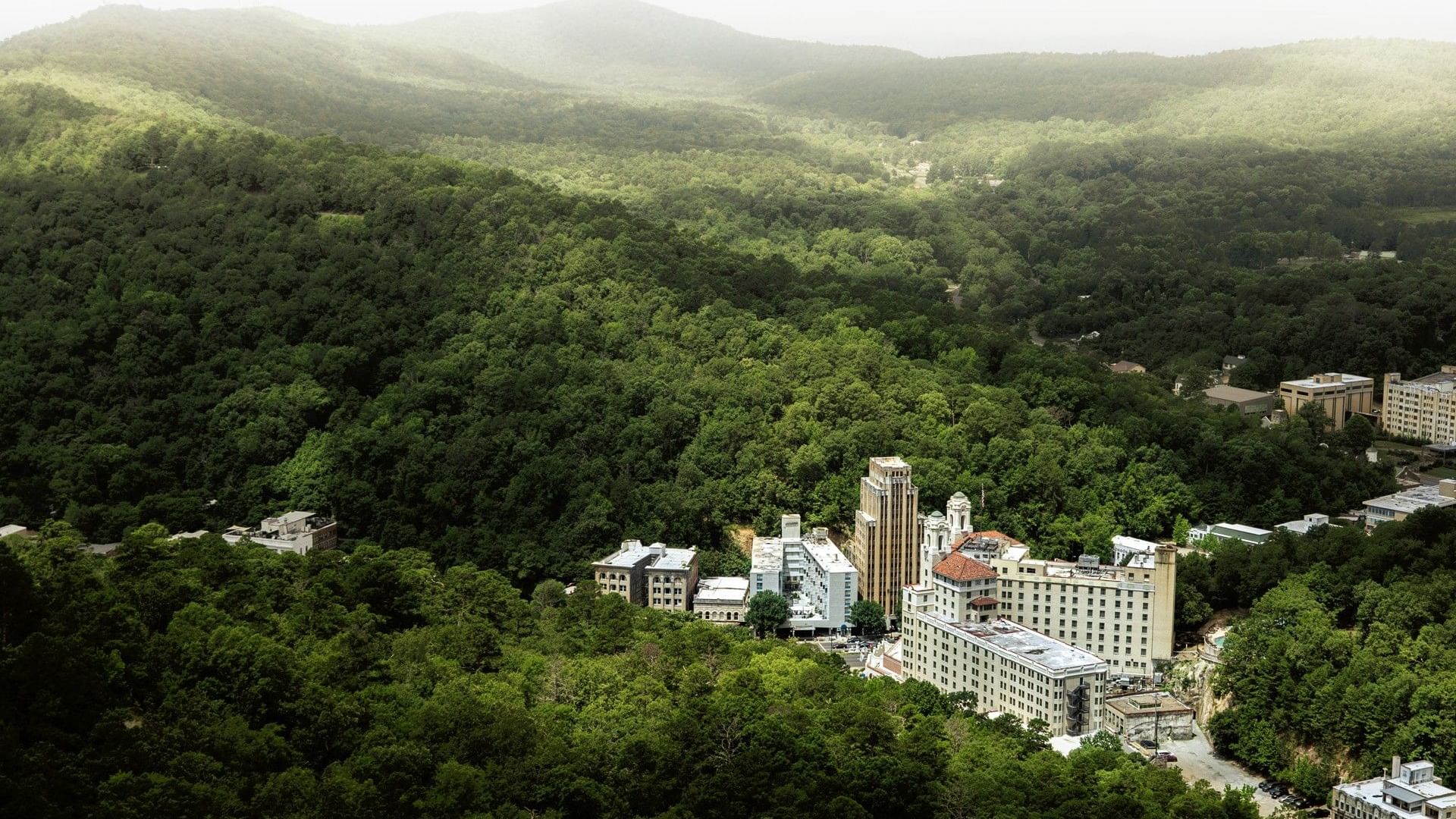 {item.first_photo.alt}