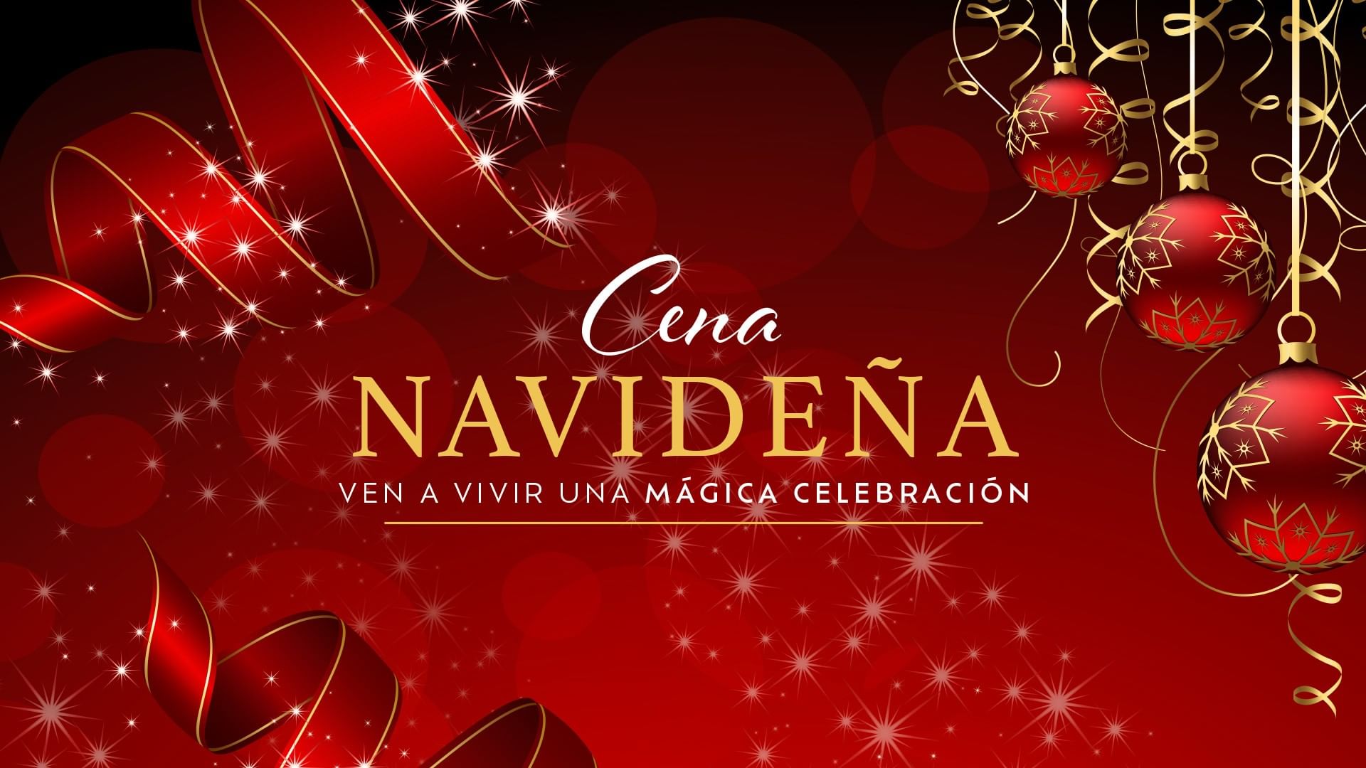 Hospedaje <br>+Cena Navideña