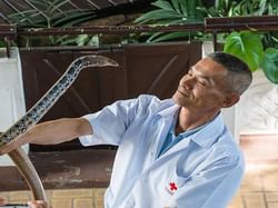 Veterinarian in Snake Farm near Chatrium Residence Sathon