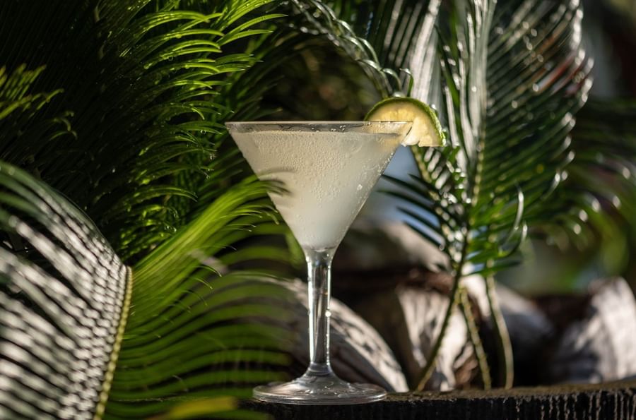 Cold cocktail with a lime slice by green palm leaves in Sunset Terrace Bar at Warwick Fiji Resort and Spa