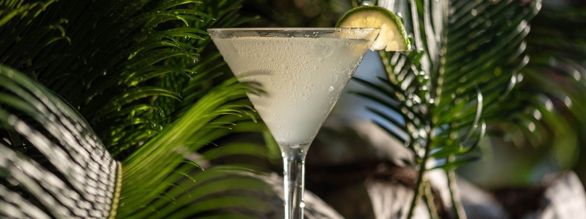 Cold cocktail with a lime slice by green palm leaves in Sunset Terrace Bar at Warwick Fiji Resort and Spa