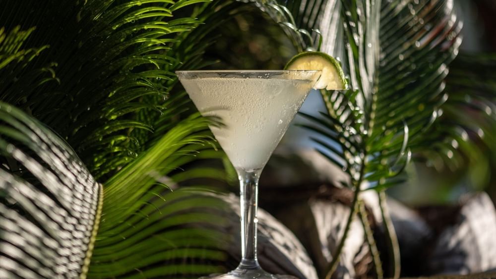 Cold cocktail with a lime slice by green palm leaves in Sunset Terrace Bar at Warwick Fiji Resort and Spa