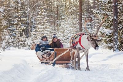 Boutique Hotel Lapland | Arctic Light Hotel Gallery