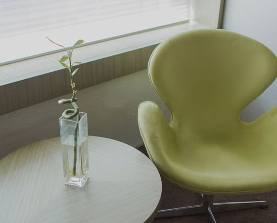 Poltrona e vaso de plantas em uma mesa no Recoleta Grand Hotel