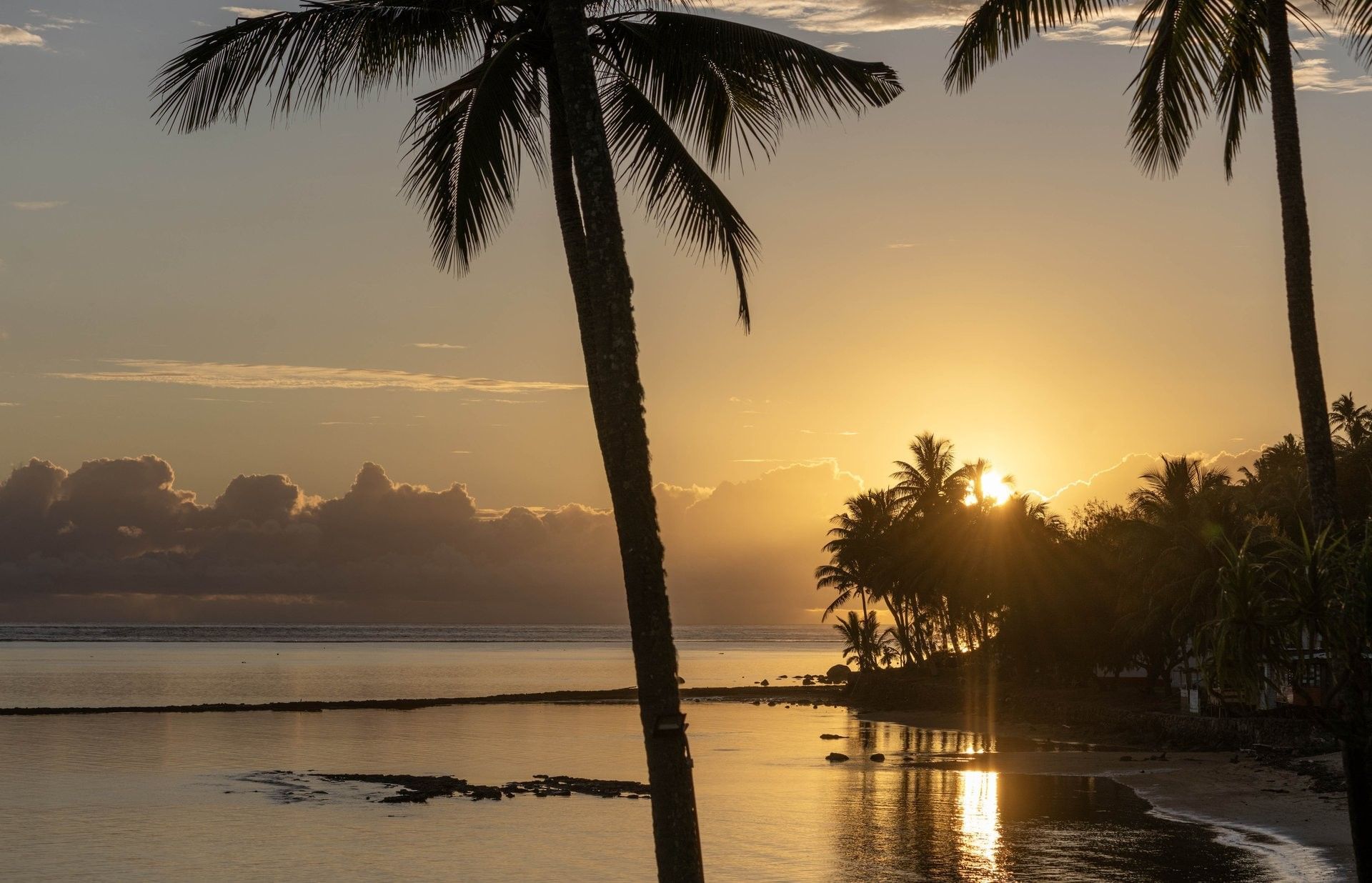 Sunset by a tall palm tree under golden clouds and the quiet ocean shore near The Naviti Resort - Fiji
