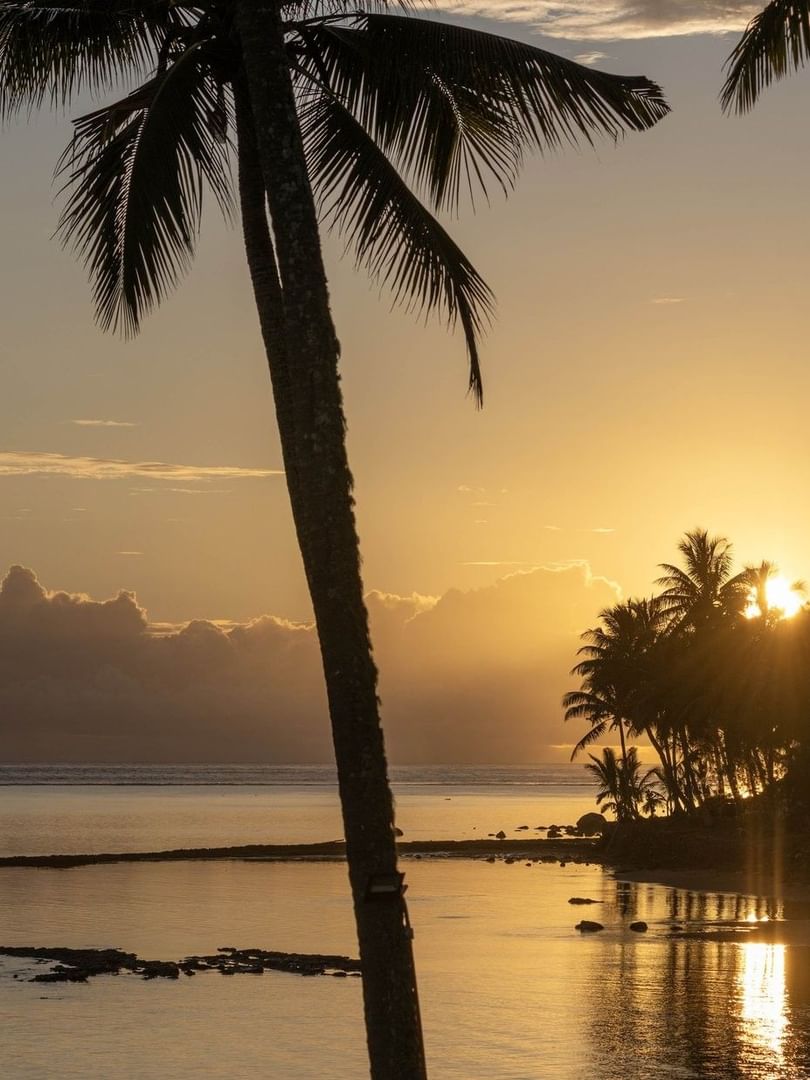 Golden sunset by a calm ocean under a dark palm tree silhouette near The Naviti Resort - Fiji