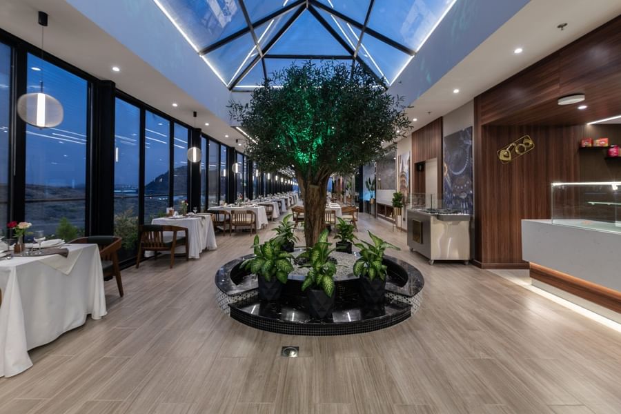 Large tree in a marble planter by dining tables under a blue glass skylight in Karkan Restaurant at Warwick Al Taif Hotel