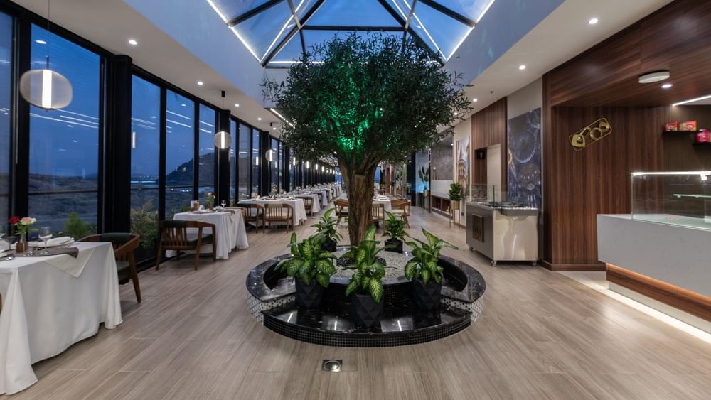 Large tree in a marble planter by dining tables under a blue glass skylight in Karkan Restaurant at Warwick Al Taif Hotel