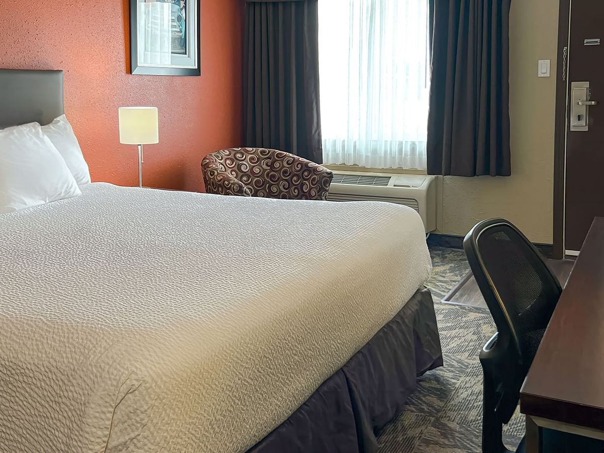 Hotel room with bed, desk, small couch, painting, chair, and lamp