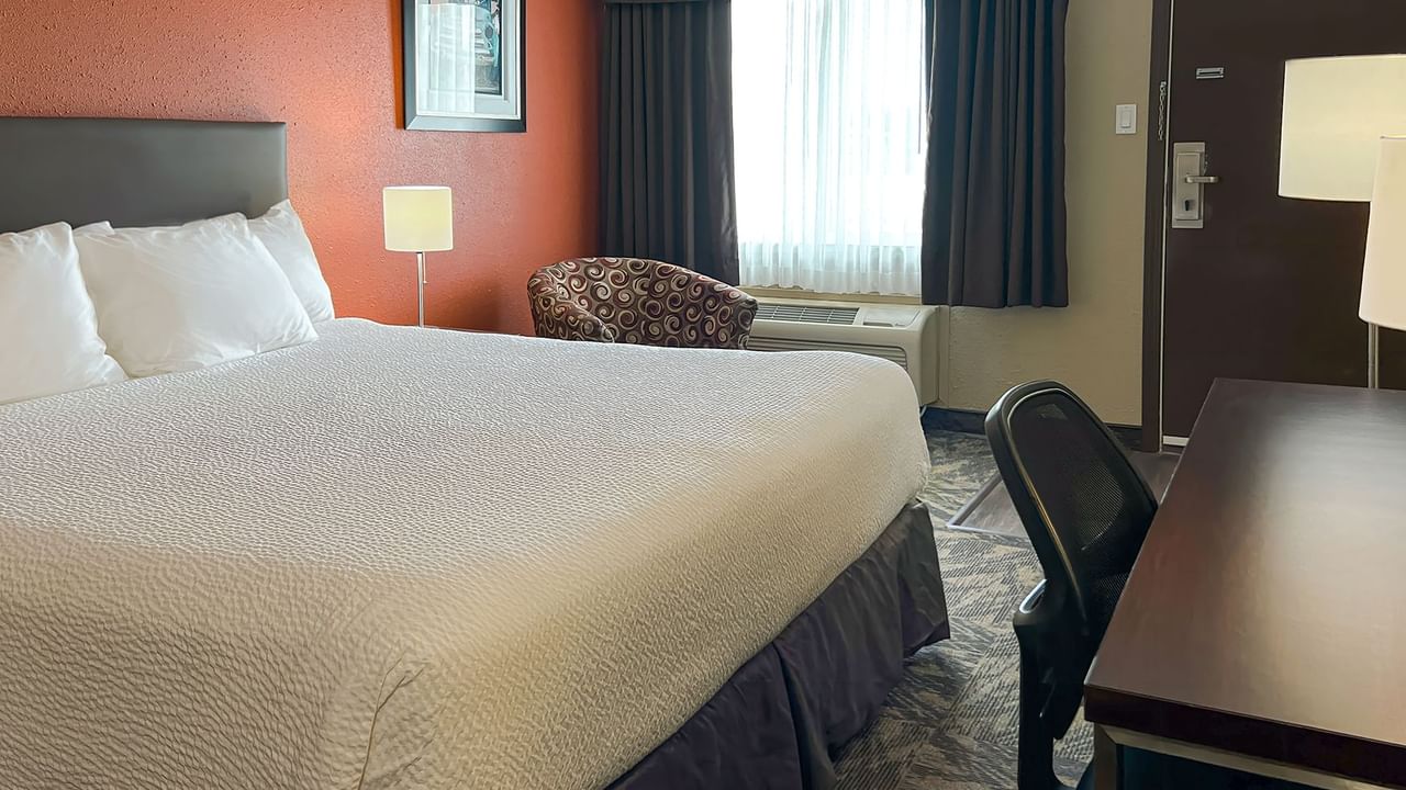 Hotel room with bed, desk, small couch, painting, chair, and lamp