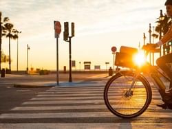 riding a bike at the sunset