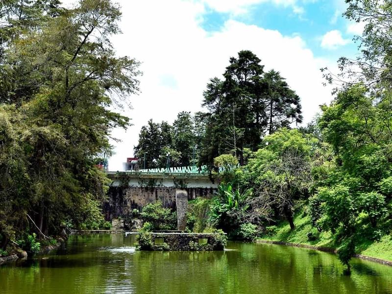 Distant view of a pond in a garden near One Hotels