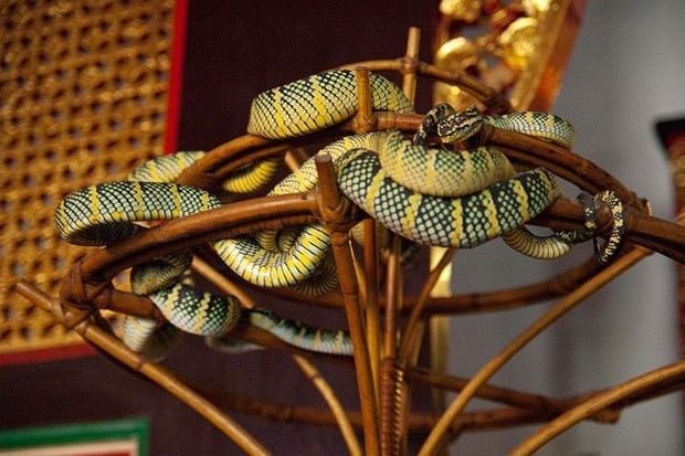 Snake Temple, Chinese Temple in Penang