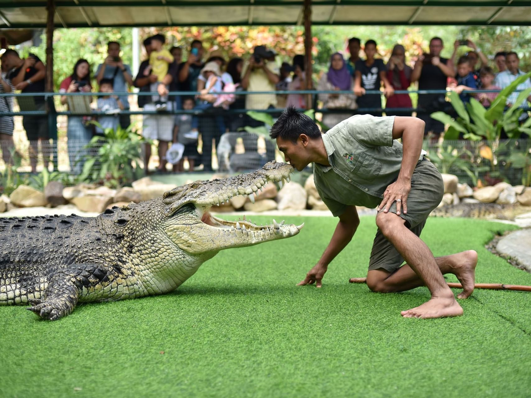 Crocodile Adventureland Langkawi, Tanjung Rhu Resort Langkawi