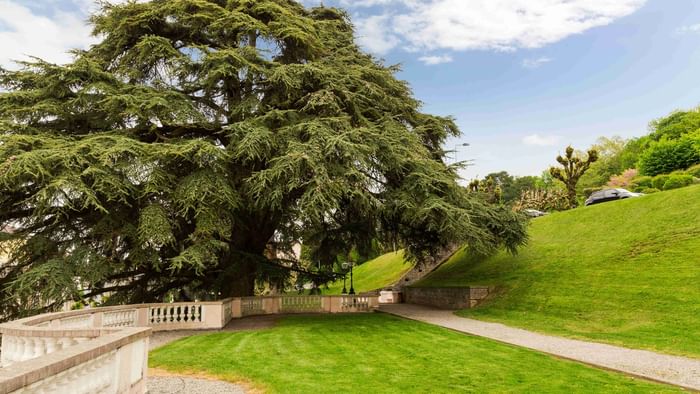 A Landscape view of the garden at Hotel Alize