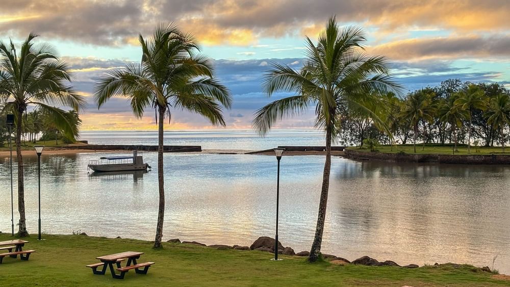 Palm trees and picnic tables near the beach at The Naviti Resort in Korolevu.