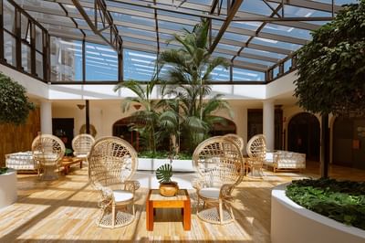 Lounge area with wicker chairs, wooden tables, and tropical plants under a glass roof with natural light.