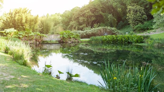 Lac serein dans le Jardin National Botanique Conservatoire près des Hôtels Oceania