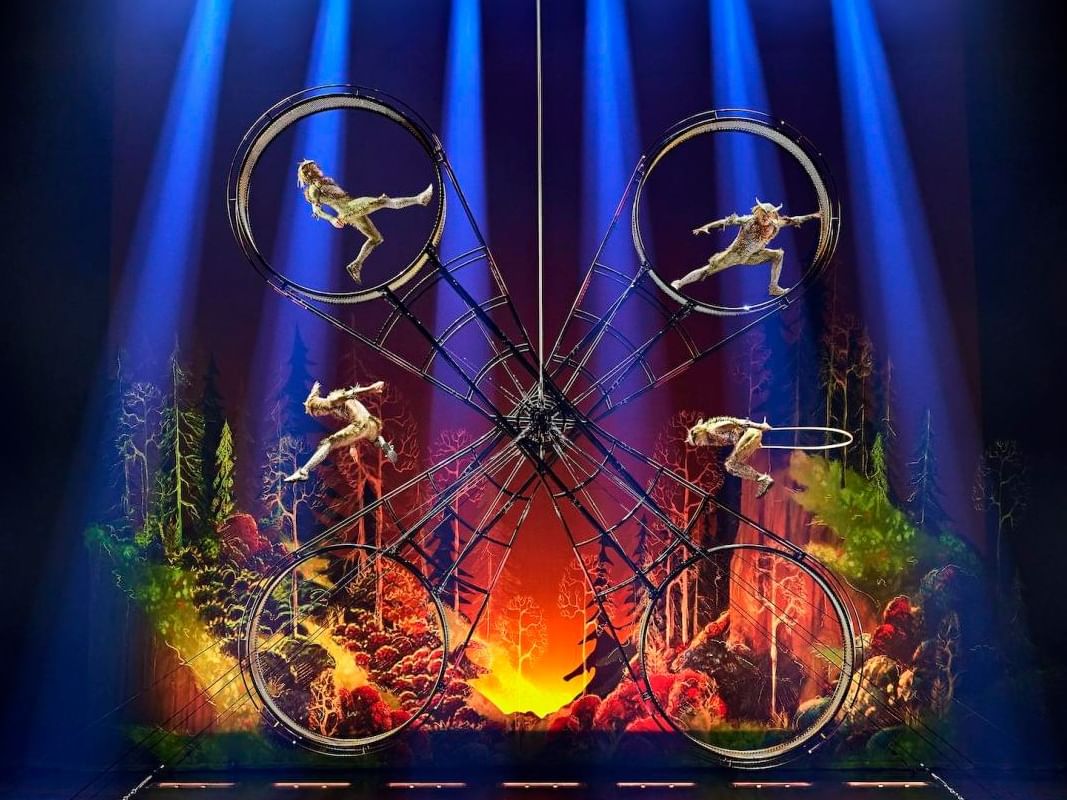 Cirque du Soleil: Drawn to Life