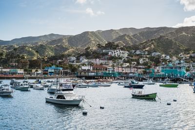 Distant view of the boats docked in the harbor near Hotel Atwater Catalina